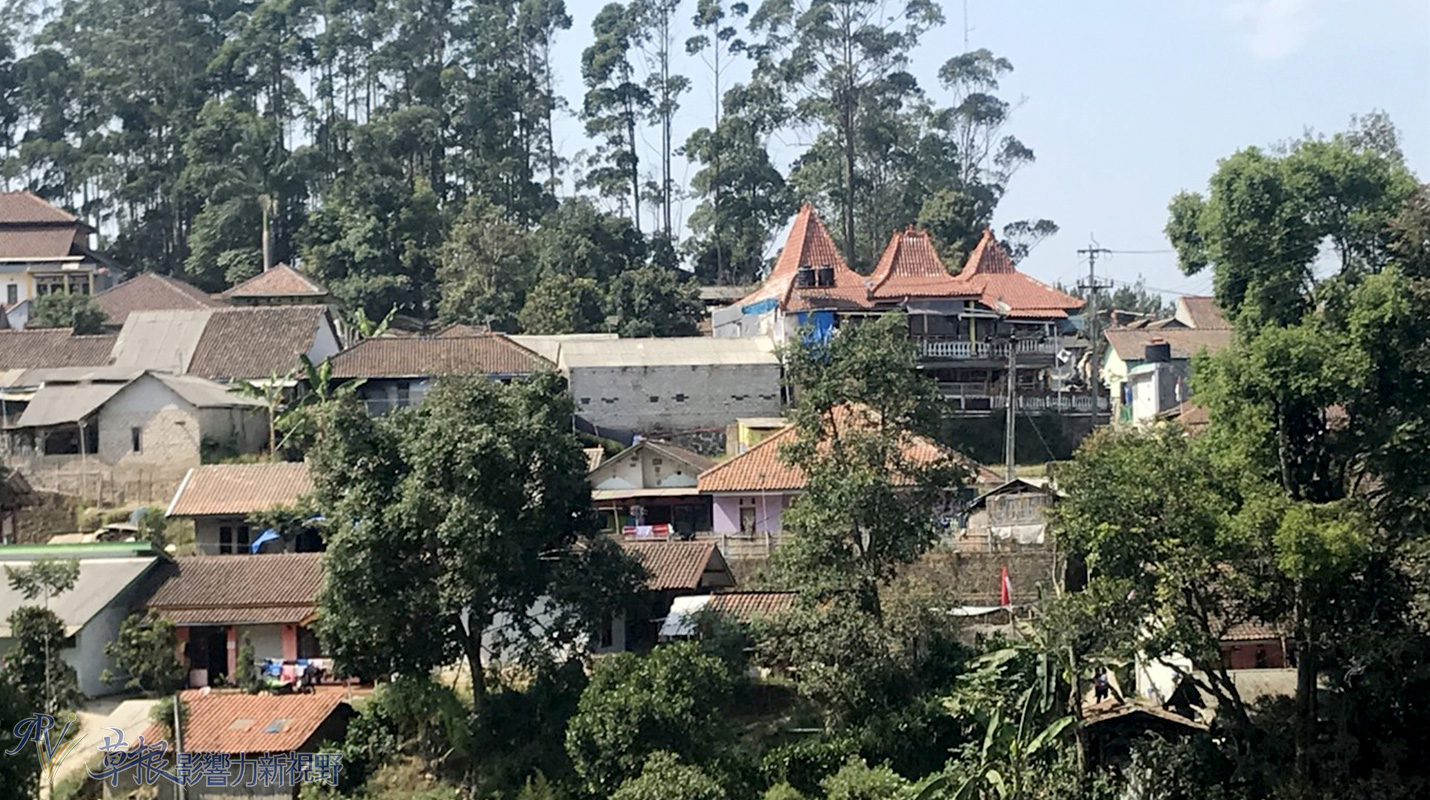 爪哇惊奇,二十万隆麝香猫咖啡园