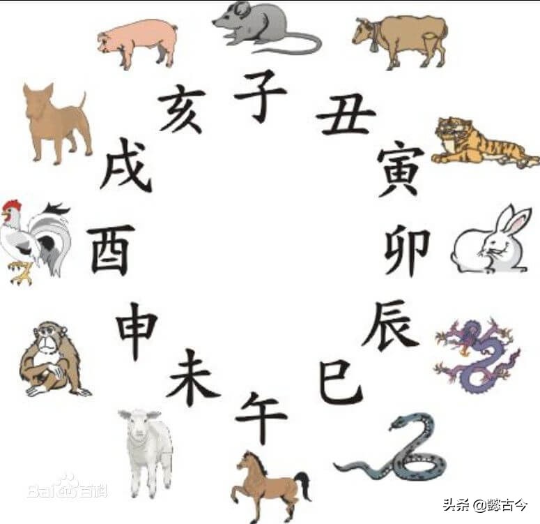 卯代表十二生肖中的什么,卯代表十二生肖里的哪种生肖
