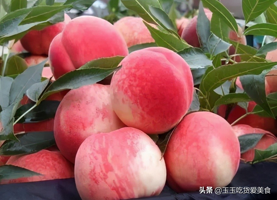 夏天吃8种水果美味又养人,夏天有什么好吃还解暑的水果