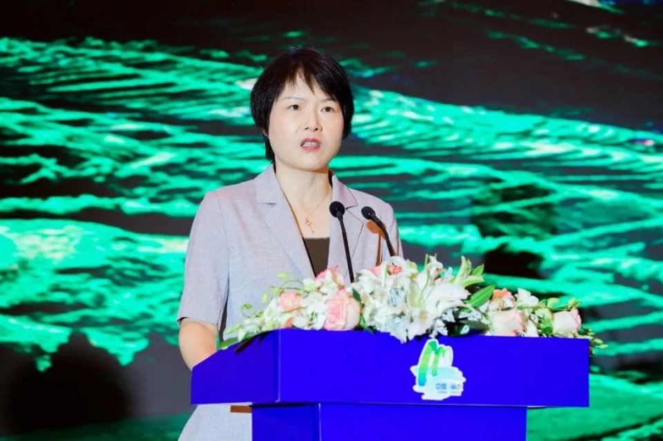 这两座城，有渊源、有合作、有未来，看秀山丽水如何惊艳大上海