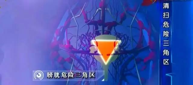 人体的三层保护,神奇的人体三角区养好了百病不扰