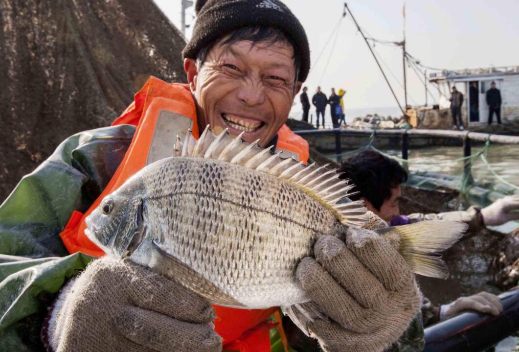 养殖农业为什么不赚钱,养殖为什么很少发财的