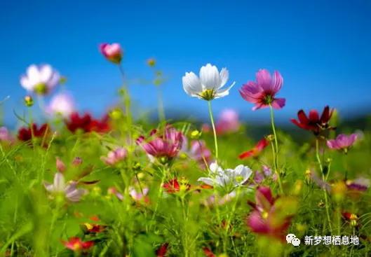 愿所有人都能战胜疫情,希望所有人都能战胜疫情