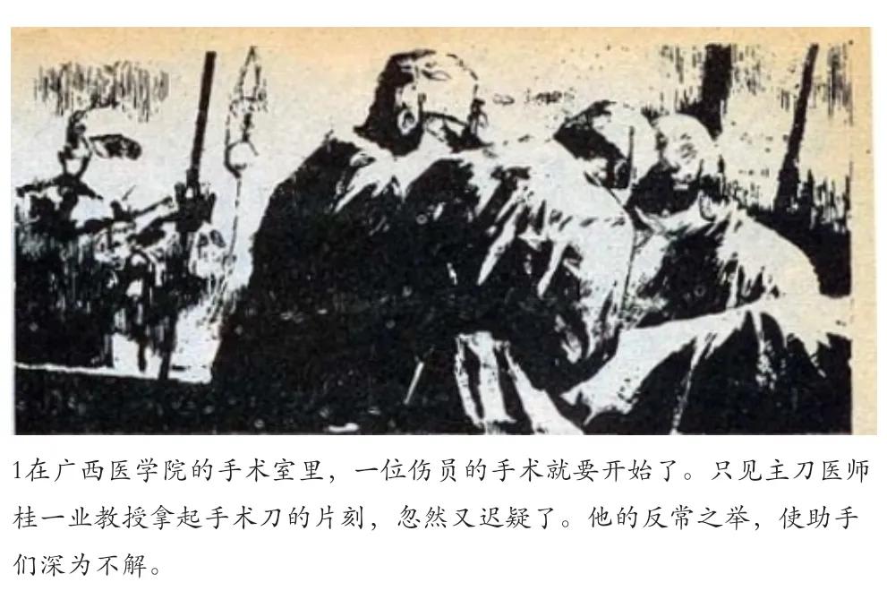 手术刀的故事,手术刀下的故事简介