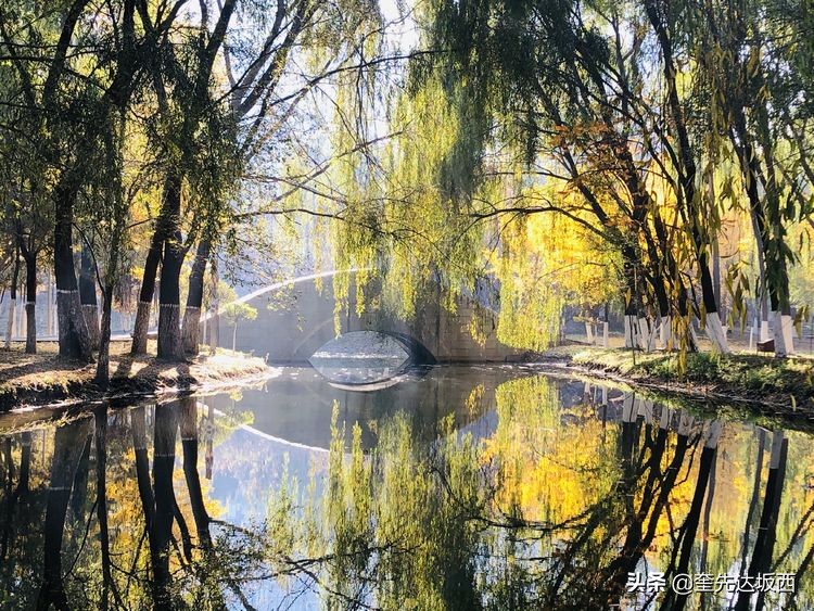 秋天的散文作文,秋天的诗歌随笔