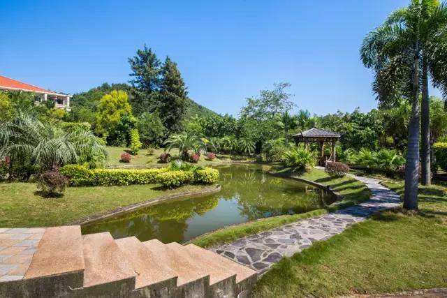 温泉小镇44平房子效果图,温泉小镇6层洋房