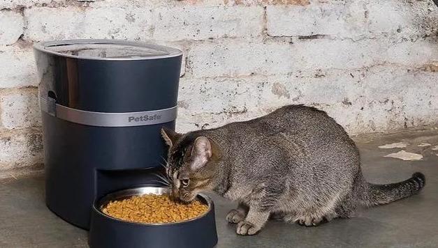 分享一个利润惊人的冷门正规创业,做网赚项目的9种精准引流玩法