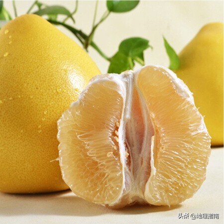 姊呭窞鏌氬瓙鍜屽槈搴旇尪,鍢夊簲鏌氬瓙