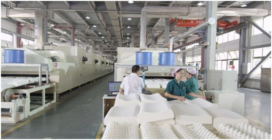 不用去泰国，原来真正好的乳胶就在这儿