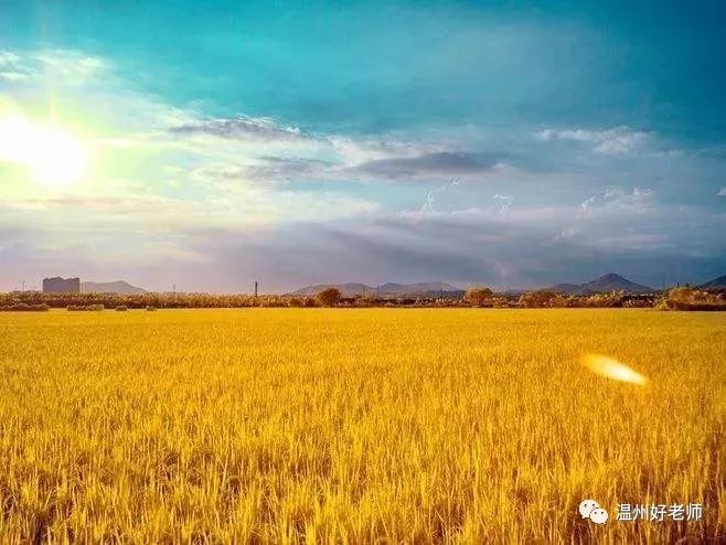 原创文章被抄袭了,怀疑被抄袭是自己写过的文章