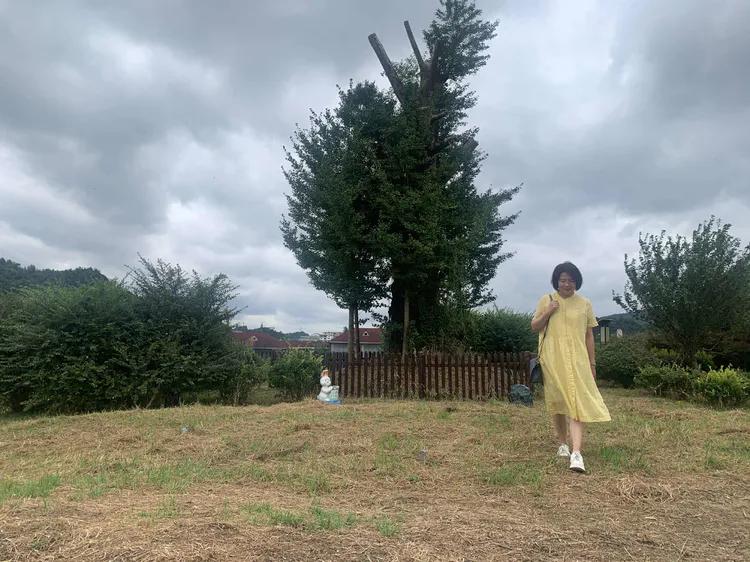 贵州蓬莱仙界旅游攻略,白云区蓬莱仙界景点介绍