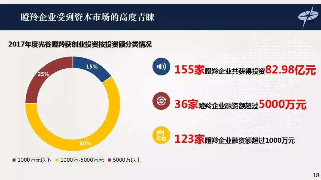 光谷瞪羚高成长10强,德勤武汉光谷20强2018