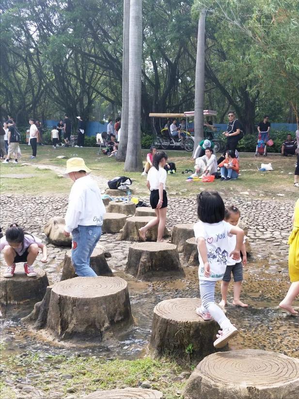深圳海上田园一日游,深圳宝安海上田园风景