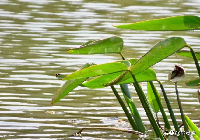 渔浦寒泉生态湿地公园在昆明哪里,昆明渔浦寒泉公园开放了吗