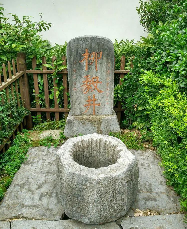 上海启庐太湖启园,太湖启园门票最新消息