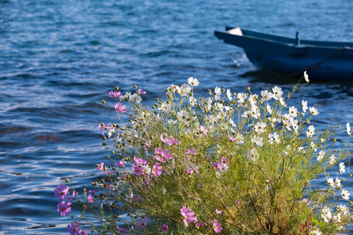 云南的景点真的那么好看吗,云南超美的地方