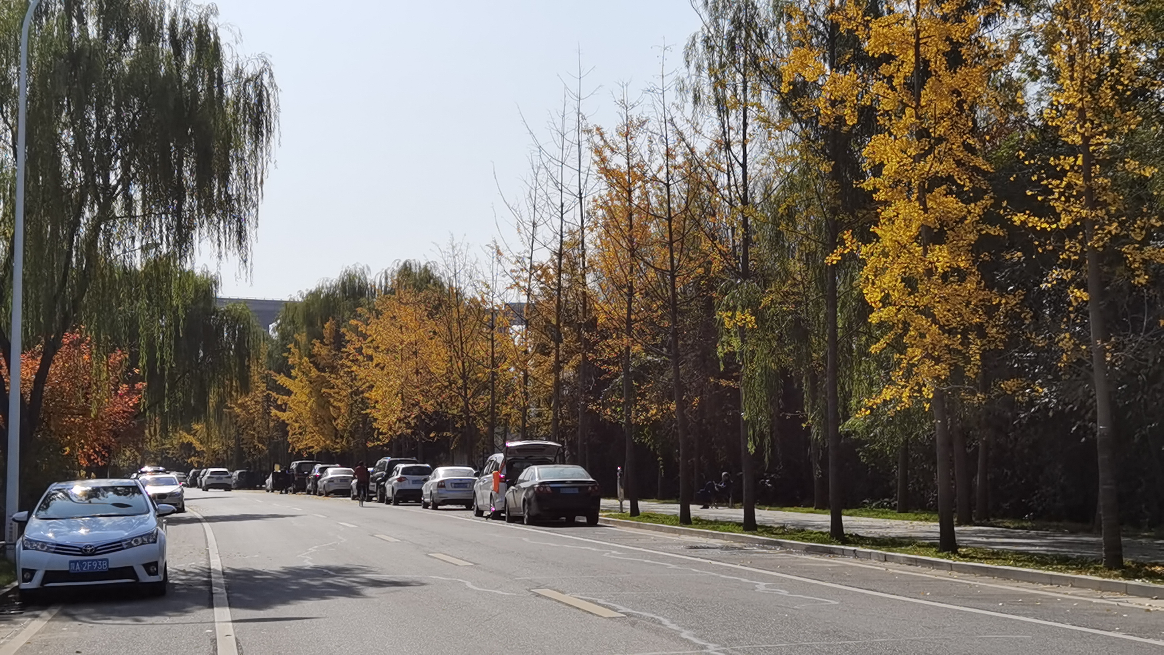 西安三河一山绿道详细图,西安三河一山绿道长安段