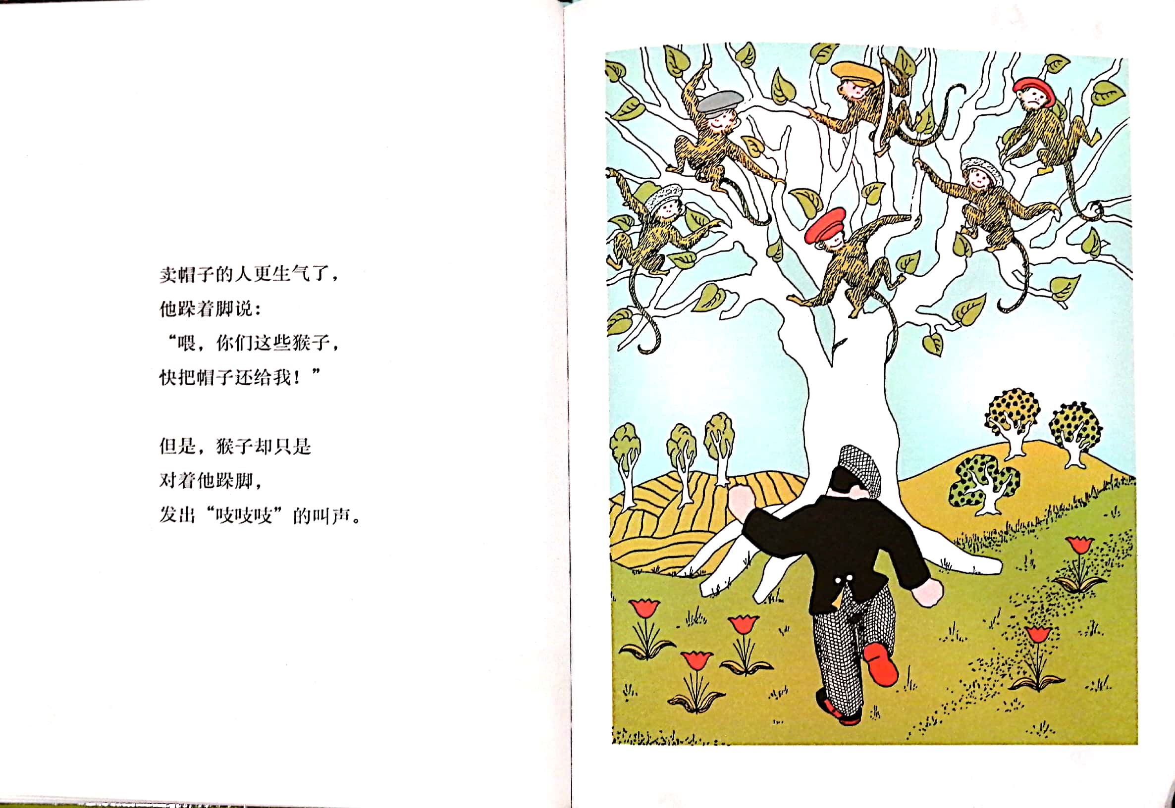 小马电台微博,小马电台主播