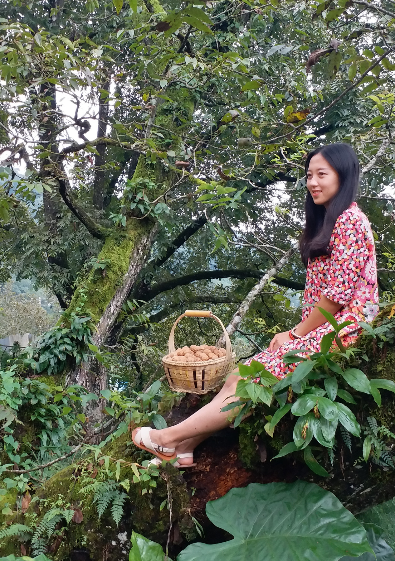 陈绪武,从纸媒到短视频,20年逐梦前行