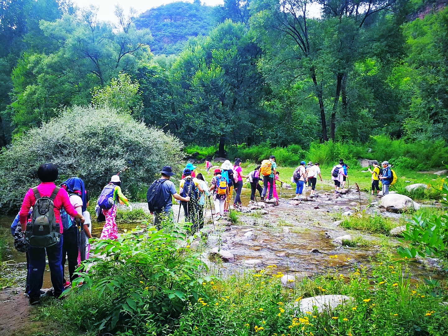 北京延庆周边野游有山有水,北京延庆山顶草甸