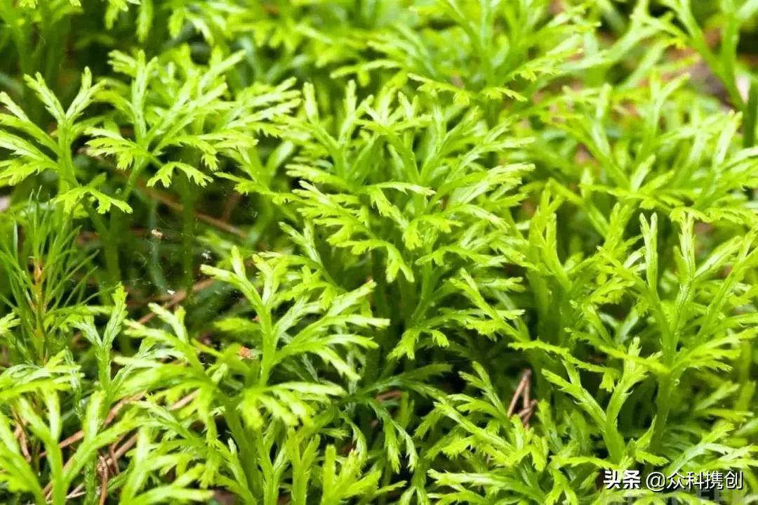 滴完眼药水多久可以洗澡,滴眼药水的时候要把眼睛洗干净吗