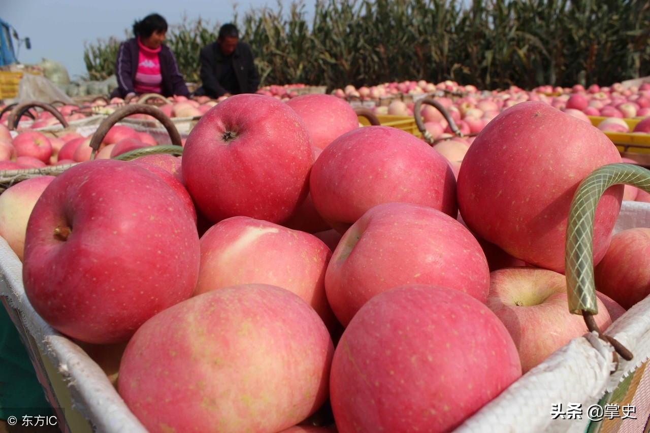 全国各地农产品特产一览表,天津特产必买清单一览表