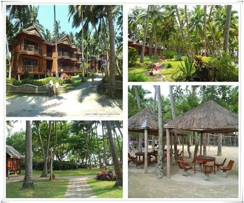 海南东郊椰林旅游攻略,海南东郊椰林在什么地方