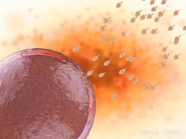 受孕当晚喝酒了对胚胎有影响吗,男喝酒当晚怀孕的影响