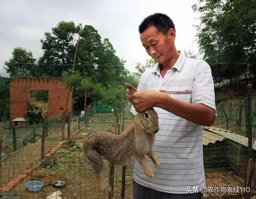 开店创业好项目投资小利润高,投资小利润高的创业项目有哪些