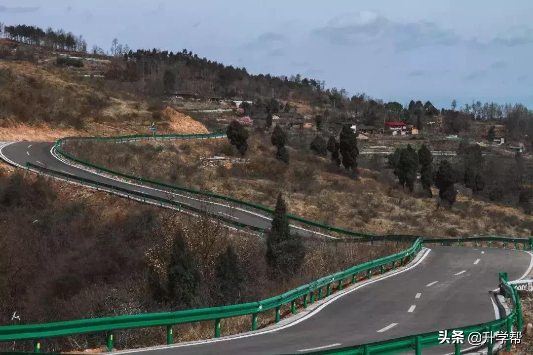 成都看花玩水,成都春游看花