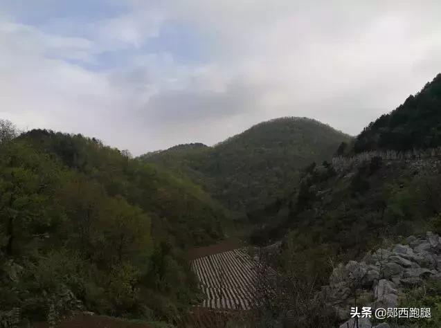 “爱国情奋斗者”之大山“愚公”魏登殿绝壁凿富路奋斗谱新篇