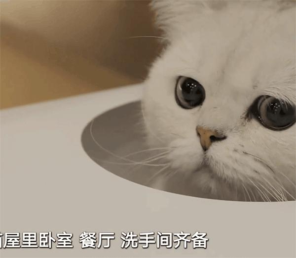 改造碉堡楼三层别墅,35平碉堡楼变别墅梦想改造家