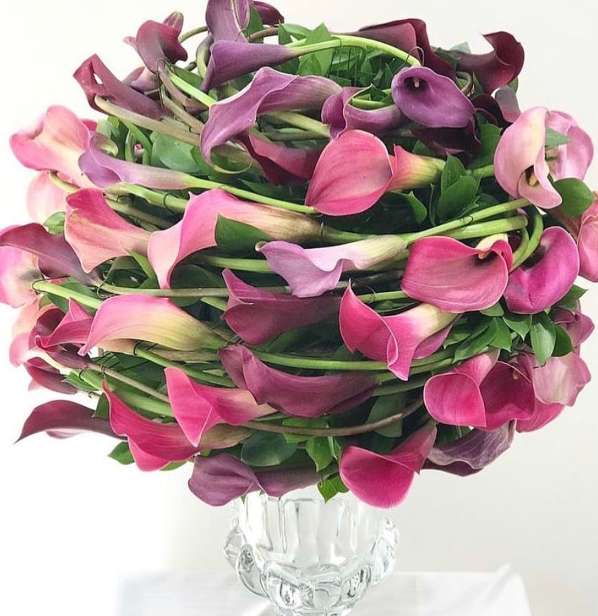 閰掑簵杩庡鑺卞崏鎻掕姳,閰掑簵濠氬簡鑺辨潫