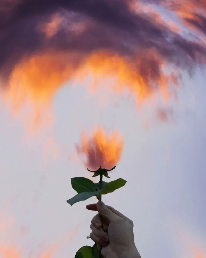 中奖2个亿图片,中奖35元吃火锅