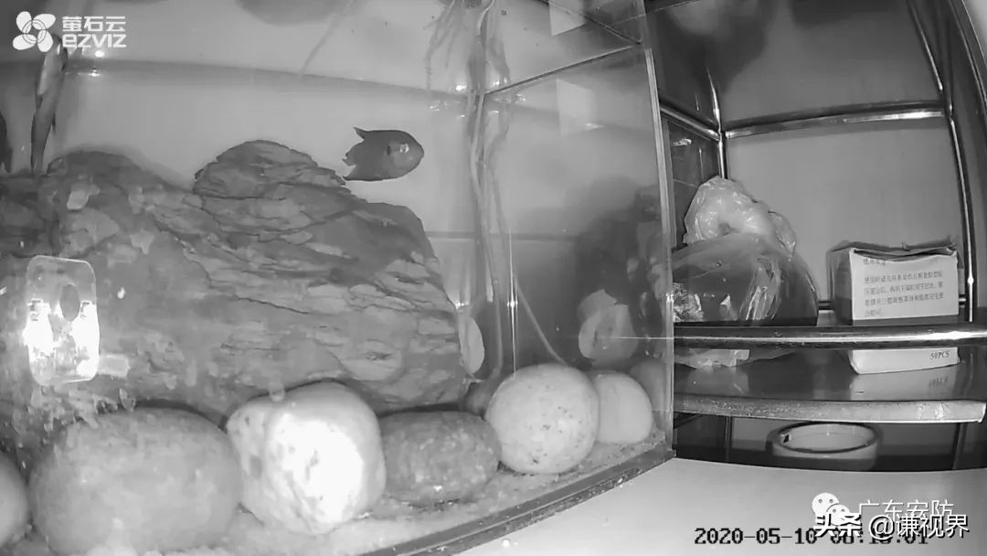 c3hc萤石摄像头,萤石c1hc摄像头720和1080区别