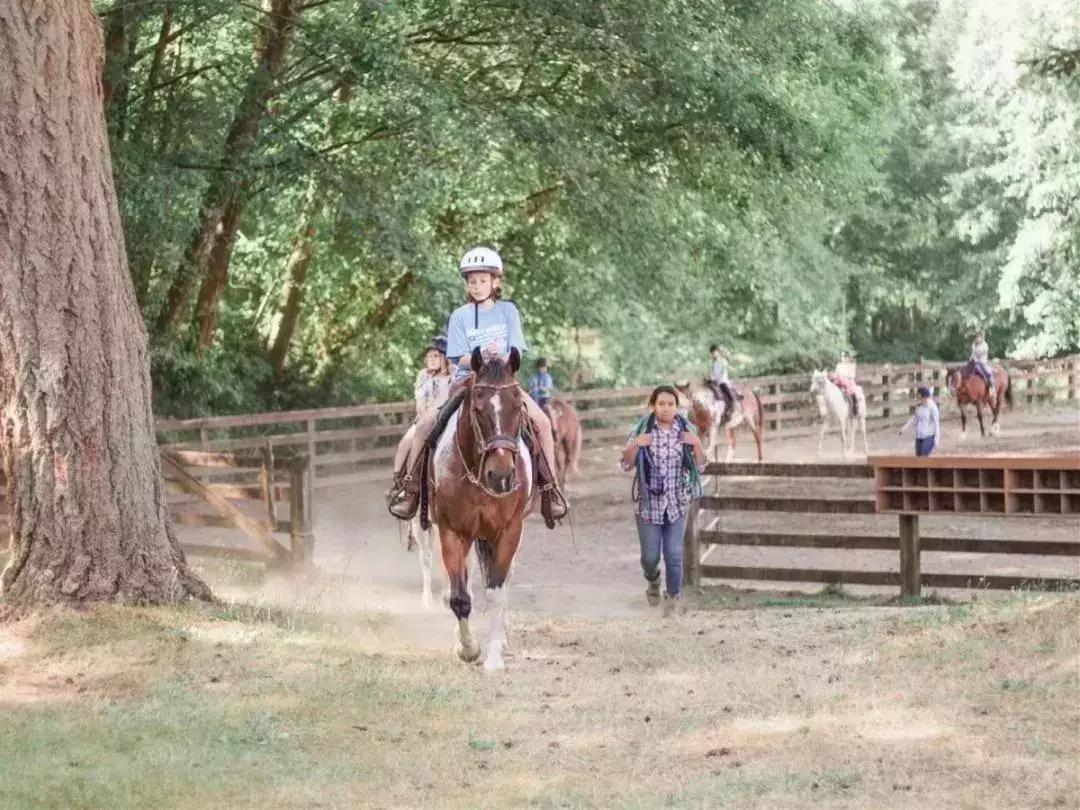 葡萄籽英语夏令营,成都葡萄籽全英文夏令营