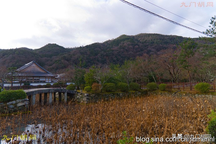 足利高氏进京见醍醐天皇,足利尊氏和后醍醐天皇的关系