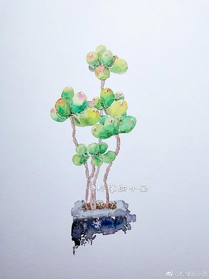 分享一组好看的小清新水彩插画,不来看看简单水彩小插画的教程吗