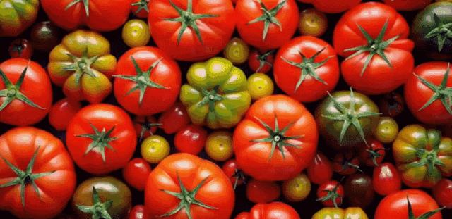 一张嘴就臭,一张嘴就口臭小妙招