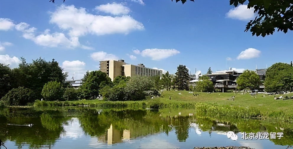 本科英国大学商科专业推荐,英国商科本科申请需要实习经历吗