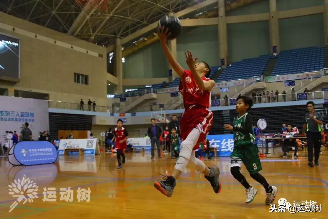 中国篮球名宿走进学校,中国篮球名宿26分