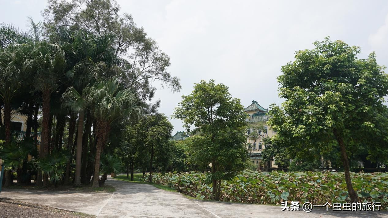 华侨公园全景图,开平立园园林