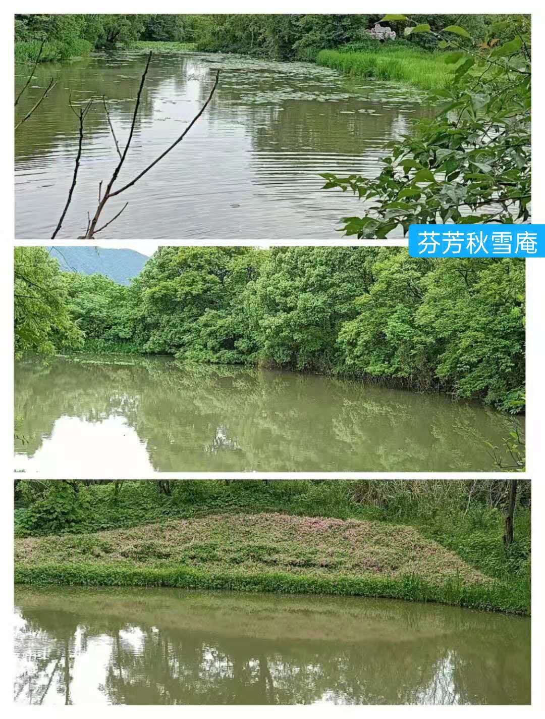 文化源远,三:水中寺庵？秋雪四面环水似孤岛蒋村二客夜走秋雪庵