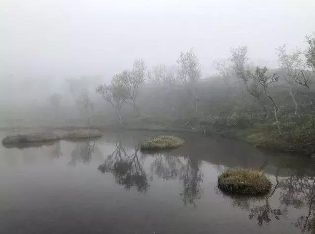 为什么烟台的海边不潮呢,烟台海边怎么样