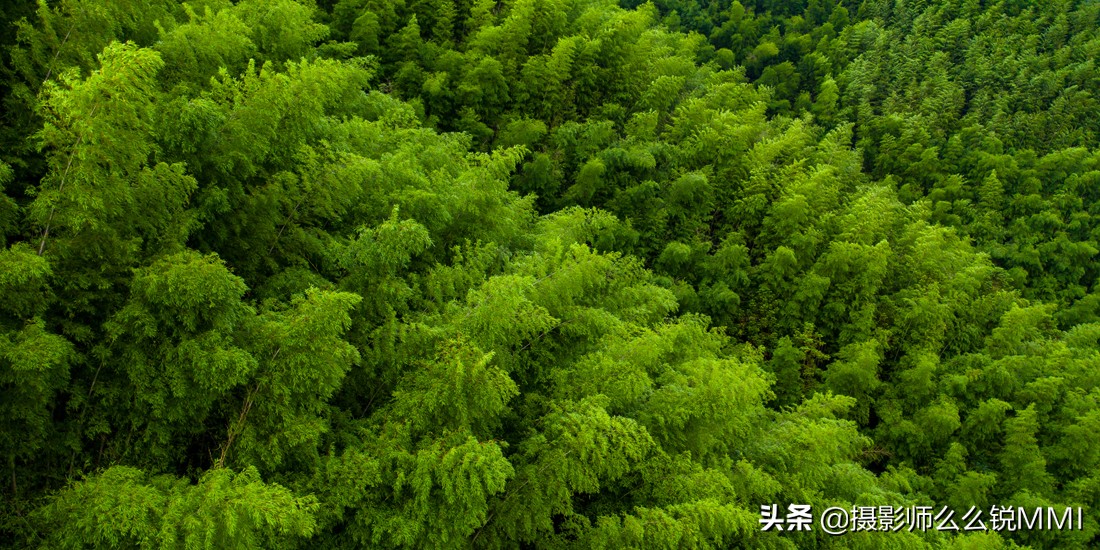 这里。藏着你“向往的生活”黄山美宿-汤口山语