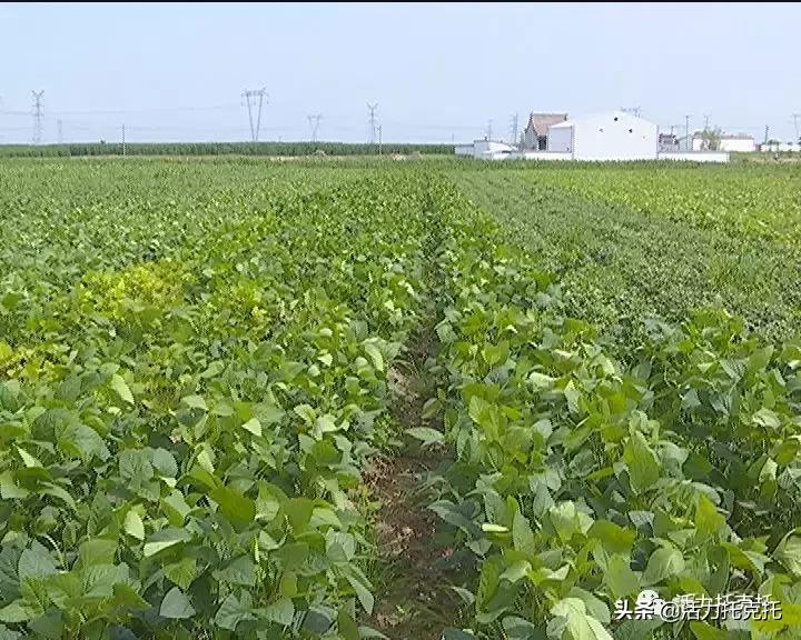 壮丽70年奋斗新时代相关资料,壮丽70年奋斗新时代总结