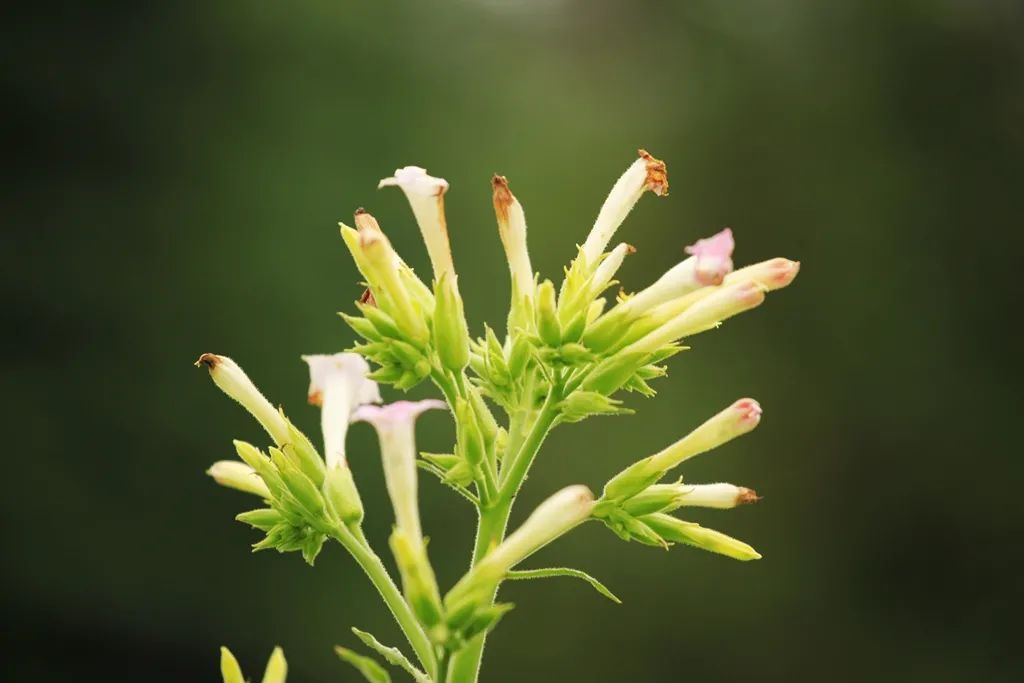 汉中龙池湖攻略,汉中龙池湖简介