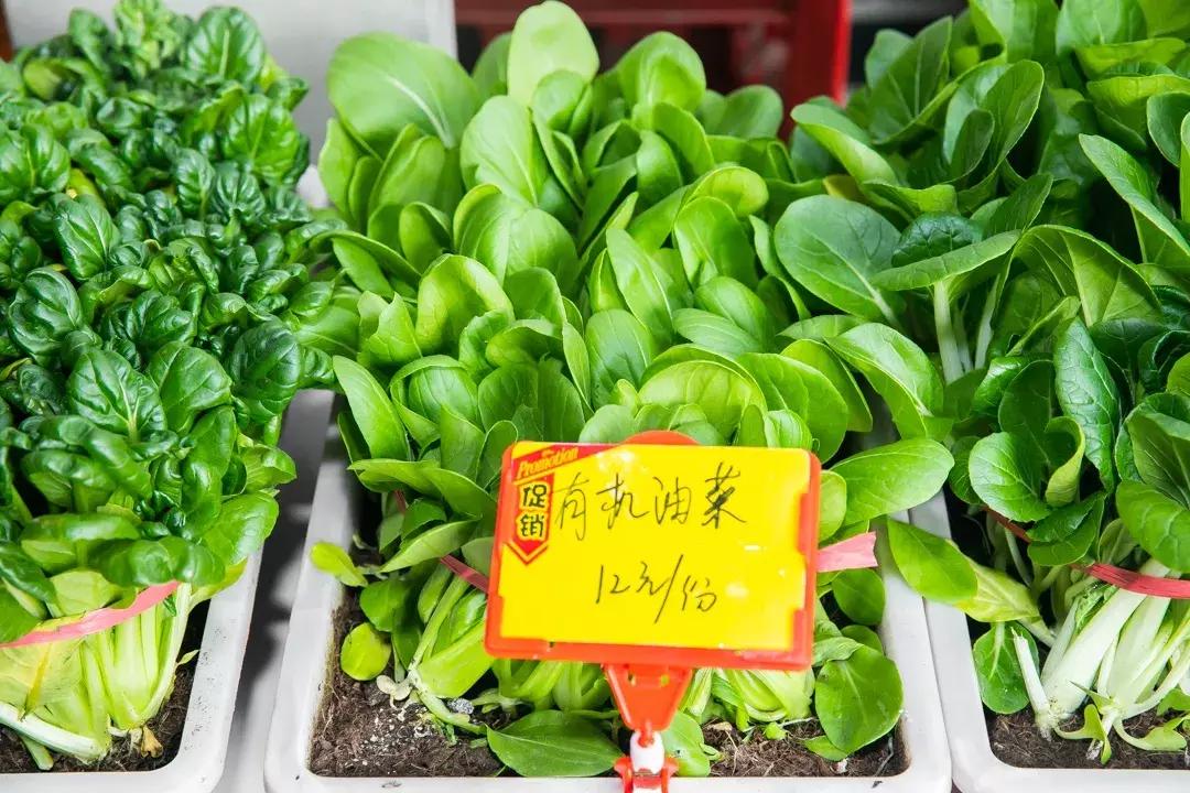 魔都惊现「2层楼小香港」,卖“蹦迪海鲜”!花胶鸡、6头鲍免费送