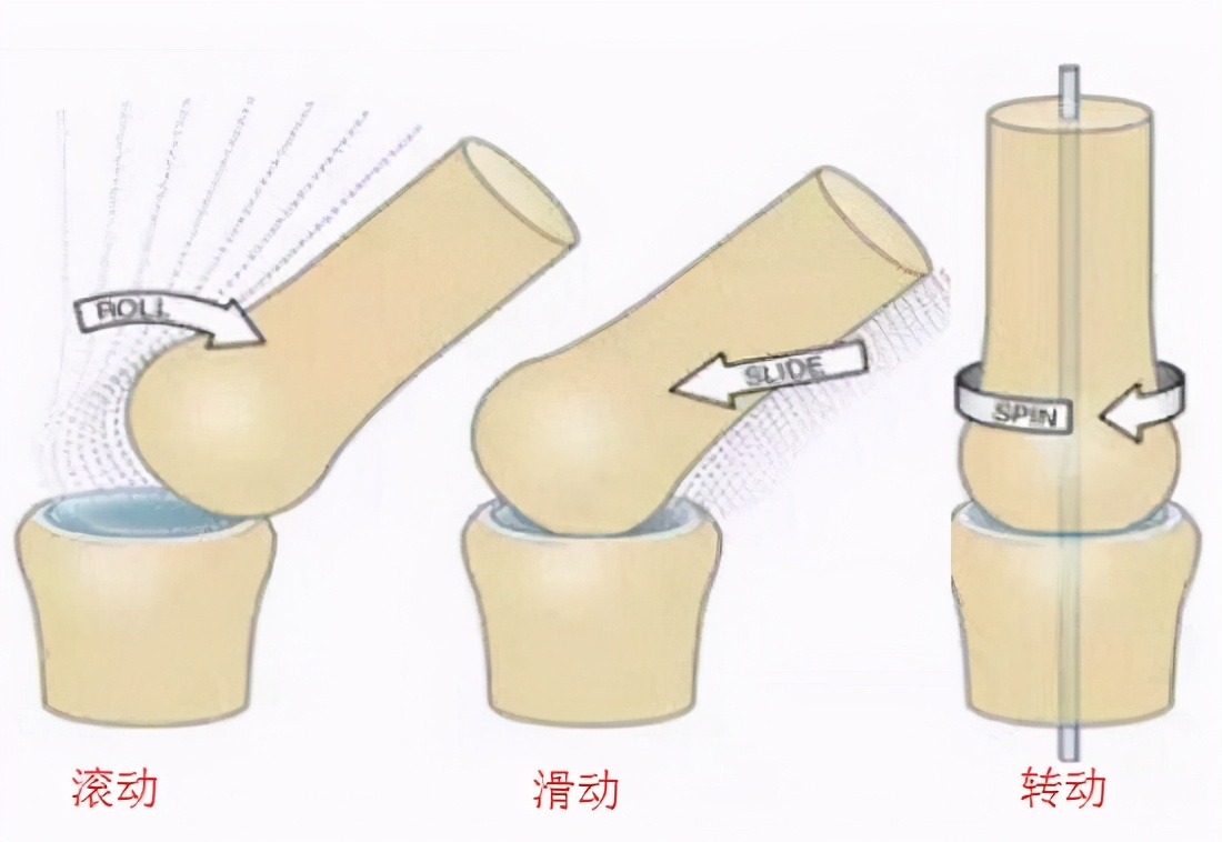 大关节松动训练,什么是关节松动