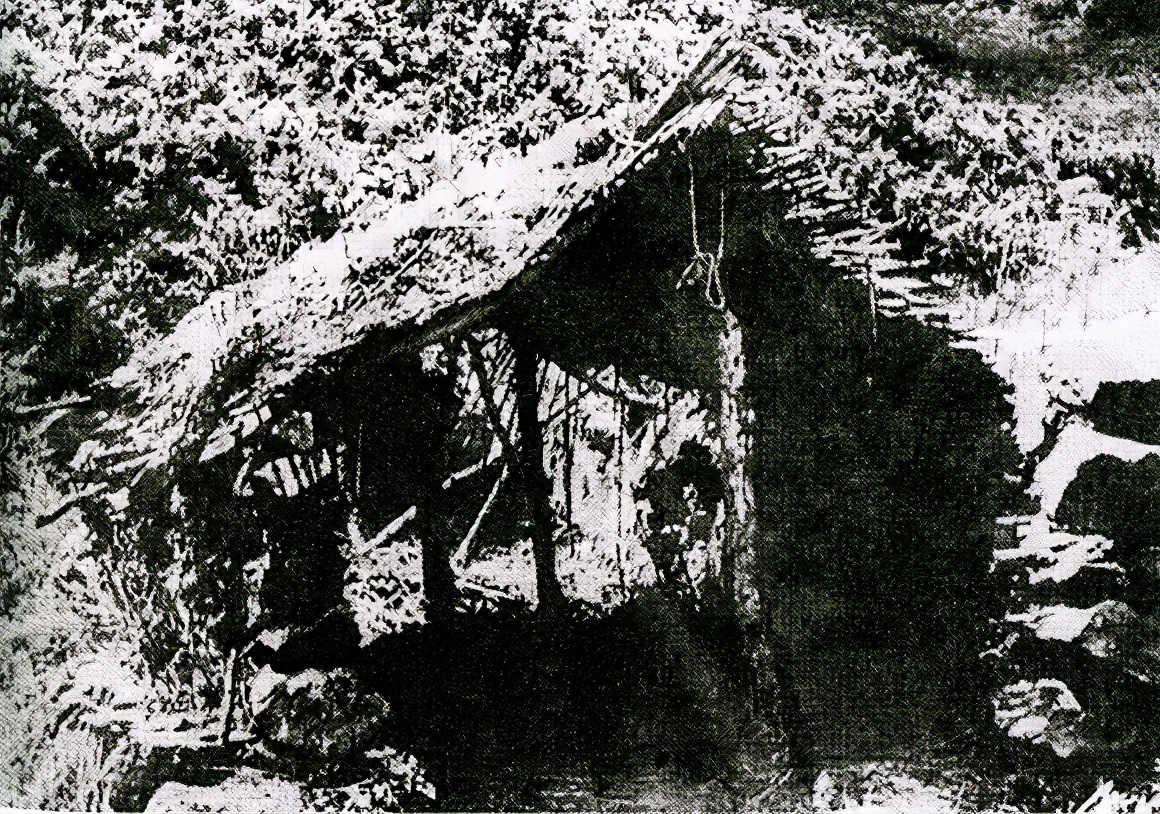 杨靖宇牺牲后视频,杨靖宇牺牲后敌人对他做了什么